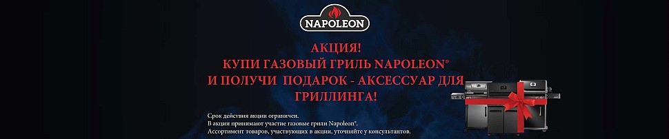 Газовые грили Rogue Napoleon в Омске